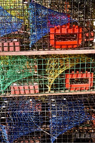 trapped in color 03